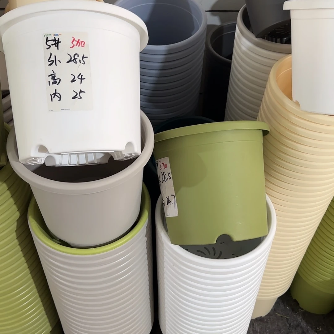 微瑕5号6个无托，果绿