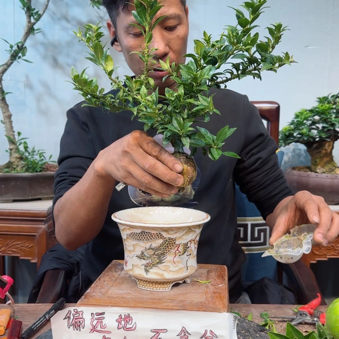 少量花朵（建议范围：2朵-5朵 或40%以下）?**四