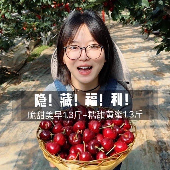 【隐藏福利双拼果】美早+黄蜜烟台樱桃3斤净重2.6斤礼盒装现摘现发