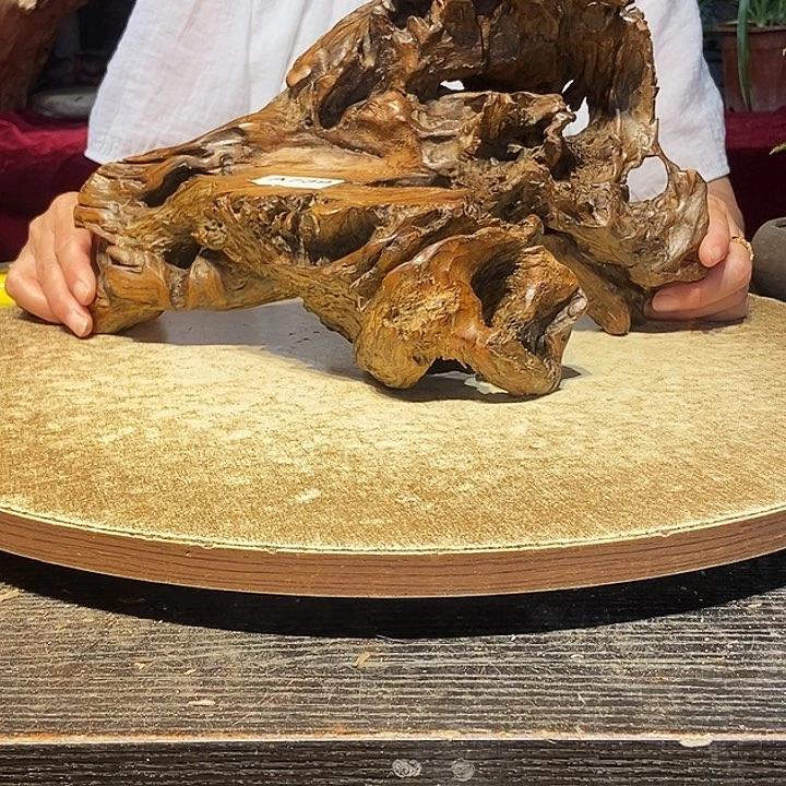 株木随行的小根艺