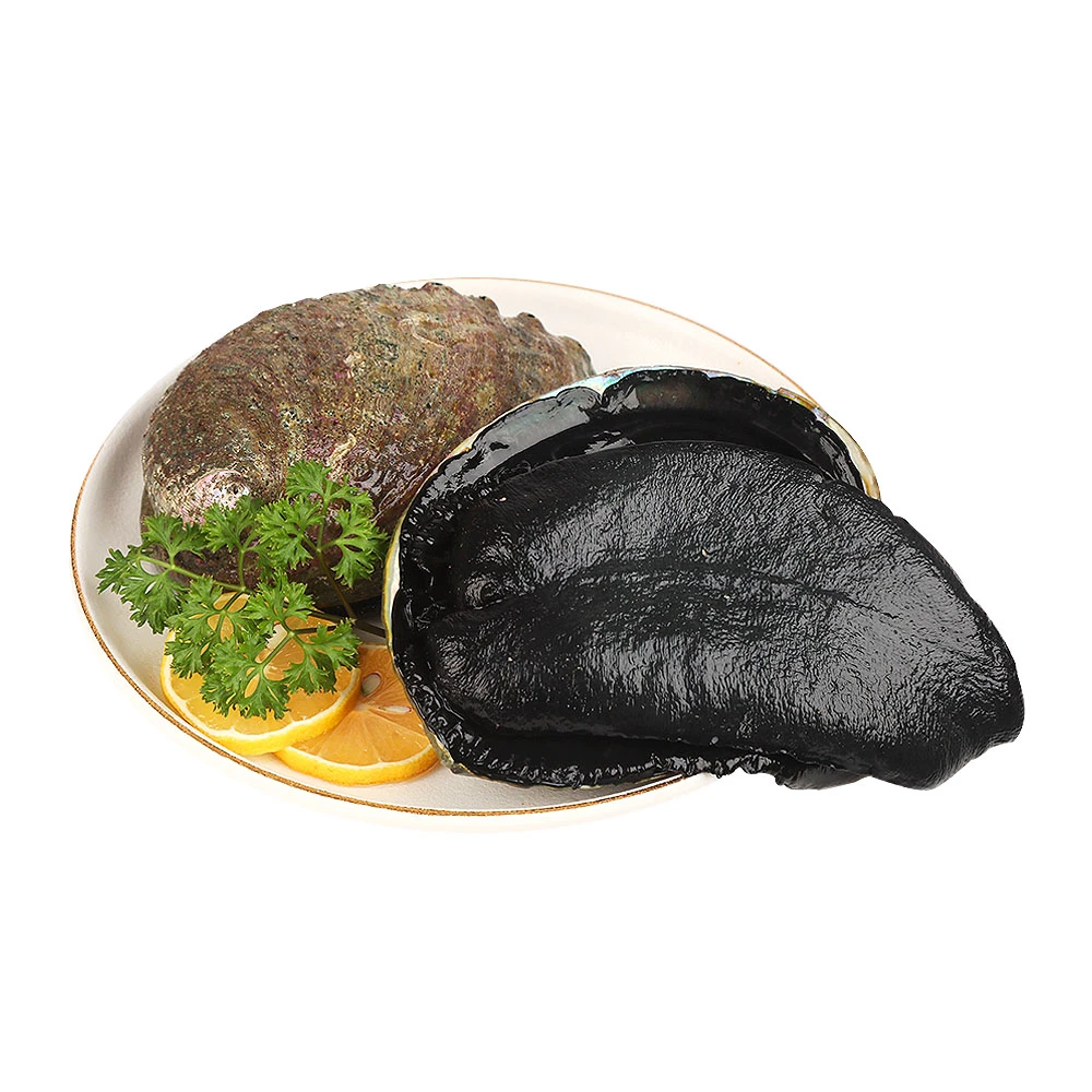 鲜活新西兰6年份黑金鲍鱼 300-400g/只