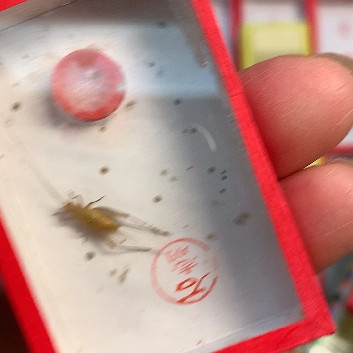 钓***佬60大黄哈哈哈哈哈哈哈哈