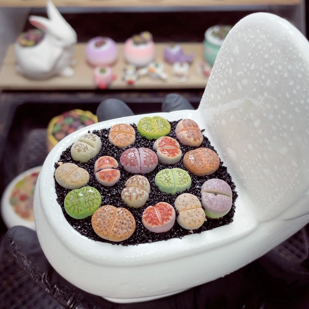 夜间零下地区拍保温箱w3691