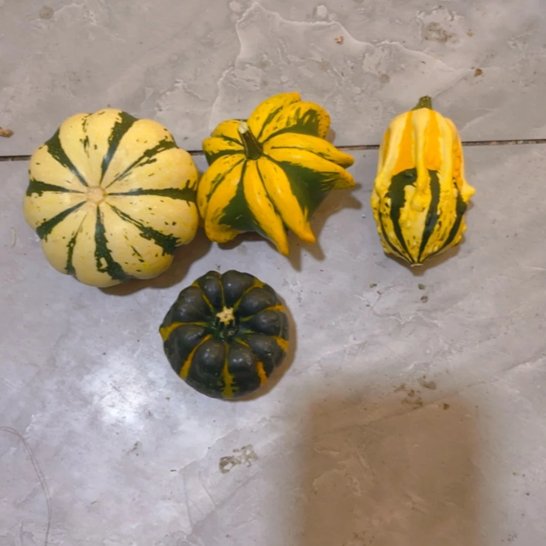 【闪购商品】樂****?哈哈哈哈哈哈哈哈哈