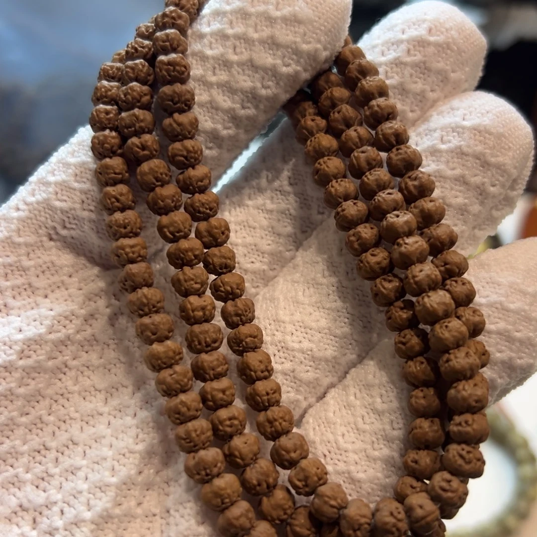 五爪金龙6mm佛手金刚