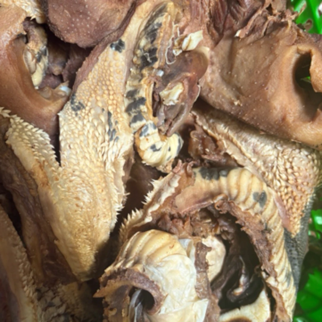 清真酱香牛嘴叉（5斤）休闲小零食