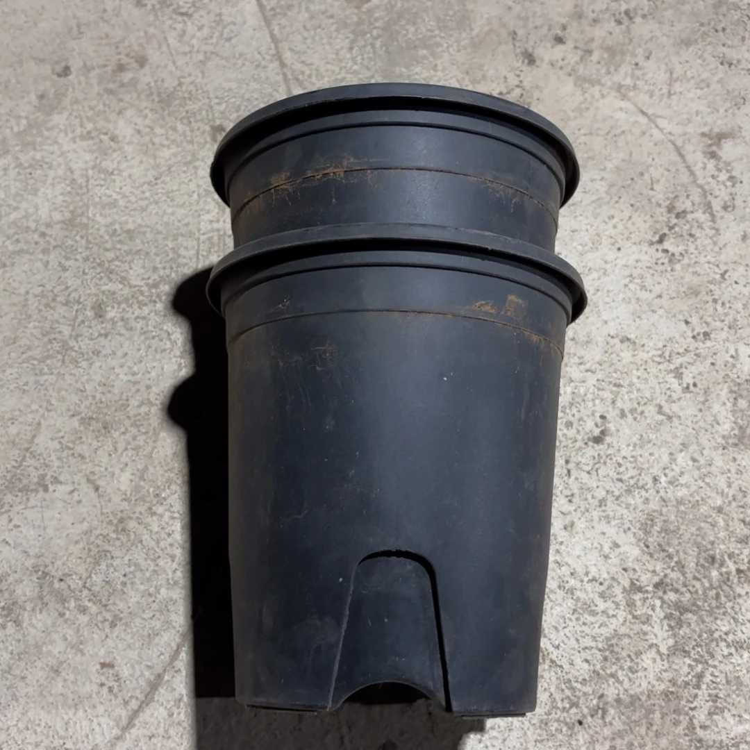 黑加仑16口径高17发15个