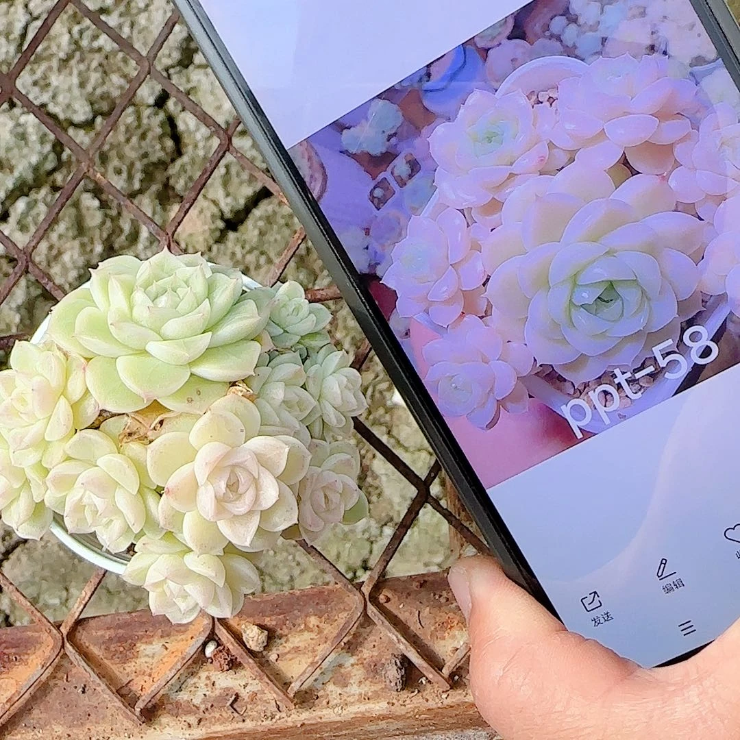 晚***～1222-63（ppt-58）优选