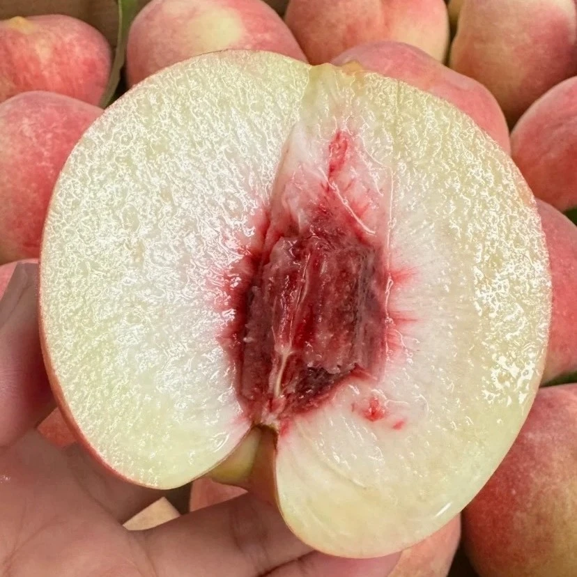 【晚熟水蜜桃】软甜多汁（放软后可以撕皮）4.5斤/3斤新鲜