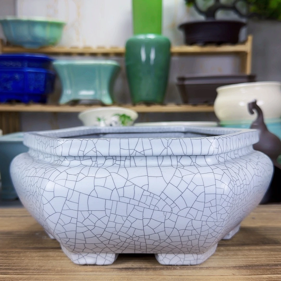 陶瓷花盆特价上新