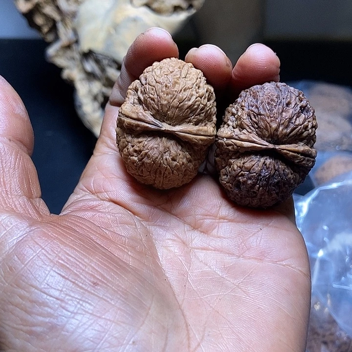 把件文玩核桃云南铁核桃基地59
