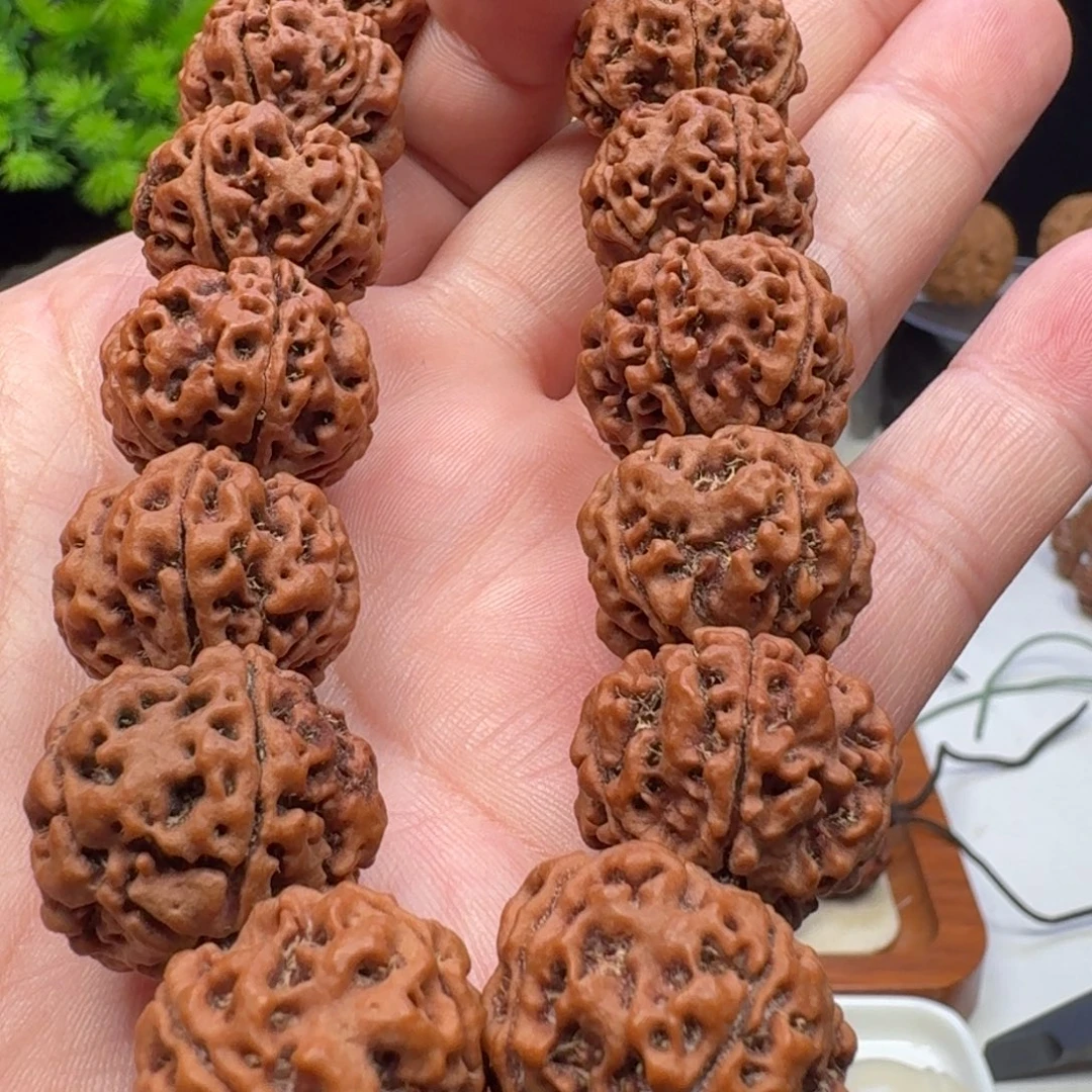 手串金刚菩提蜂窝双龙