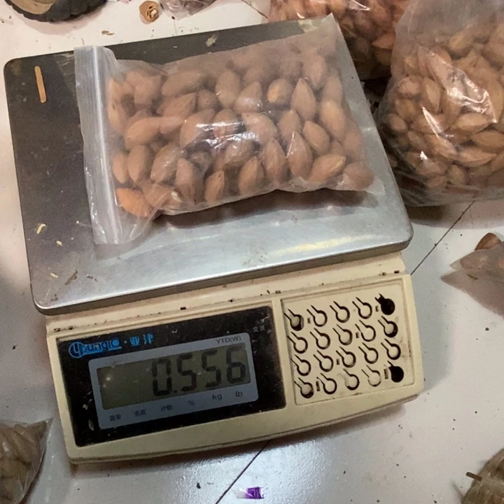 吊坠橄榄核清*打包