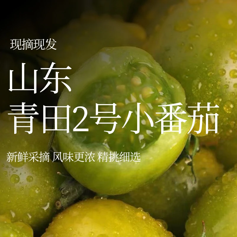 疆泥山东王姐的青甜2号山东蒙阴【京东/顺丰包邮】小西红柿小番茄