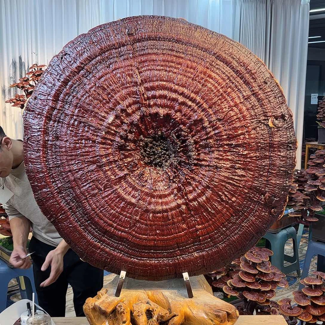 王***路无花朵588888888888