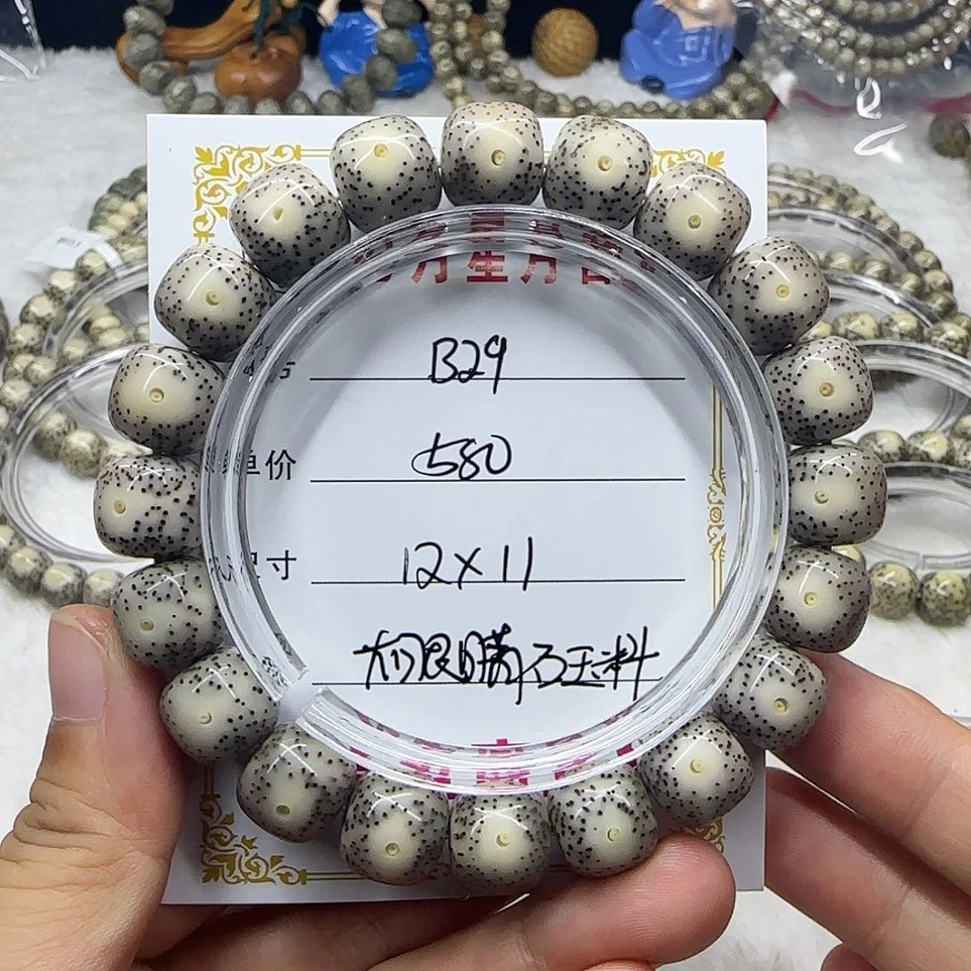 心月星月菩提一号B29