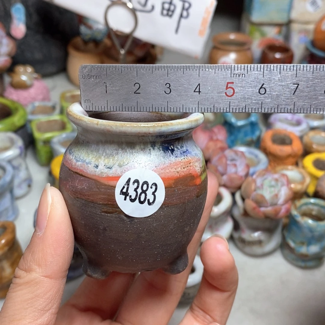 拍5送一个小礼物