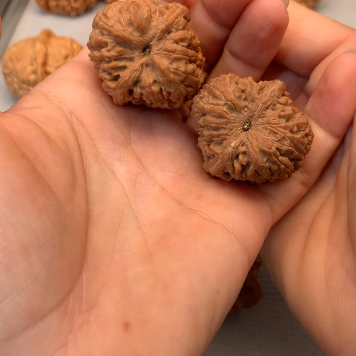 文玩核桃把件全品大蒜头32