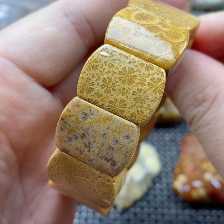 硅化珊瑚（珊瑚玉）颈饰未镶嵌有瑕