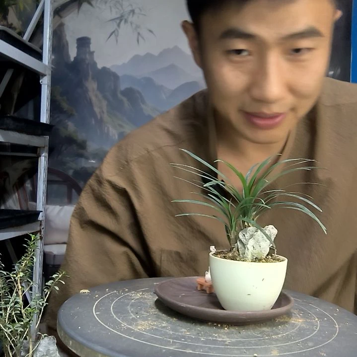 蓝***虫中青园艺一物一拍52