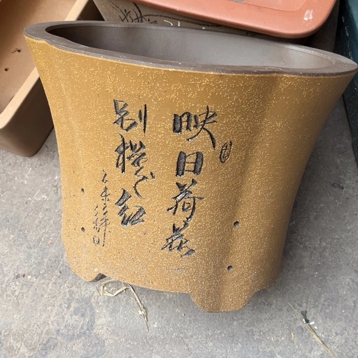 紫砂花盆宜兴紫砂