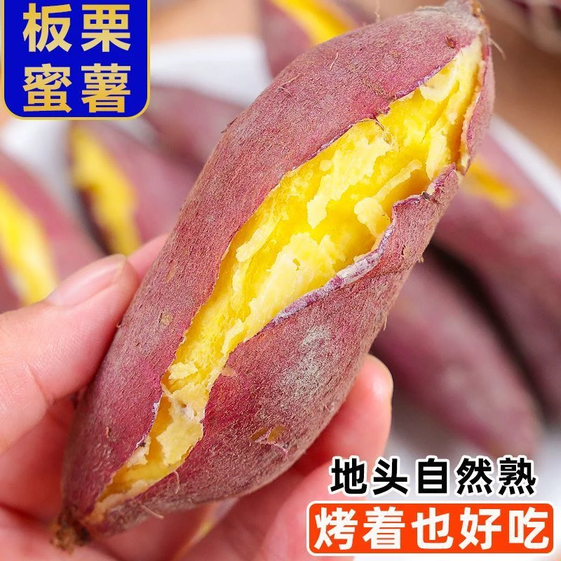 东北辽宁沙土地农家地瓜