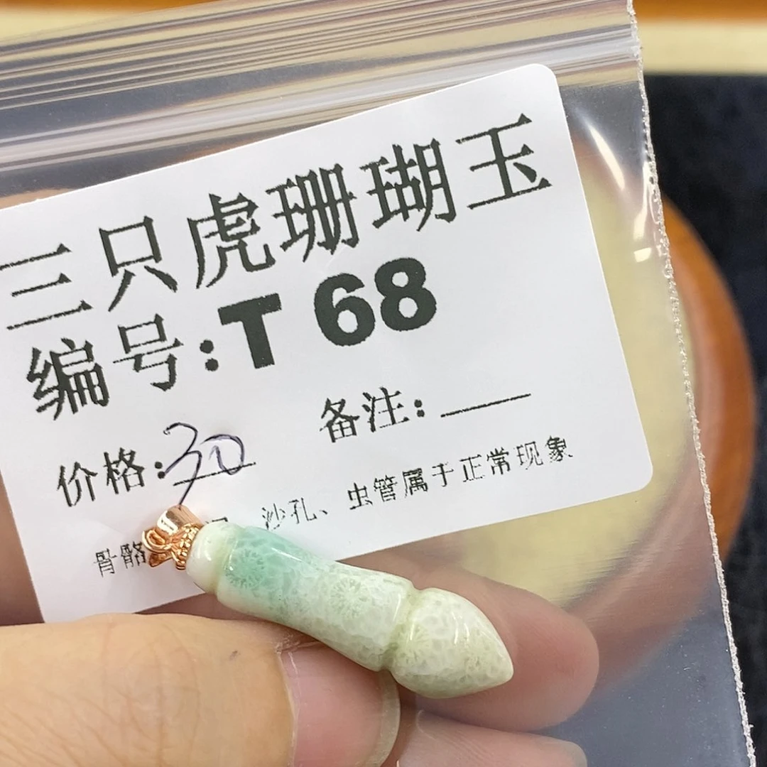 硅化珊瑚（珊瑚玉）1未镶嵌A****)