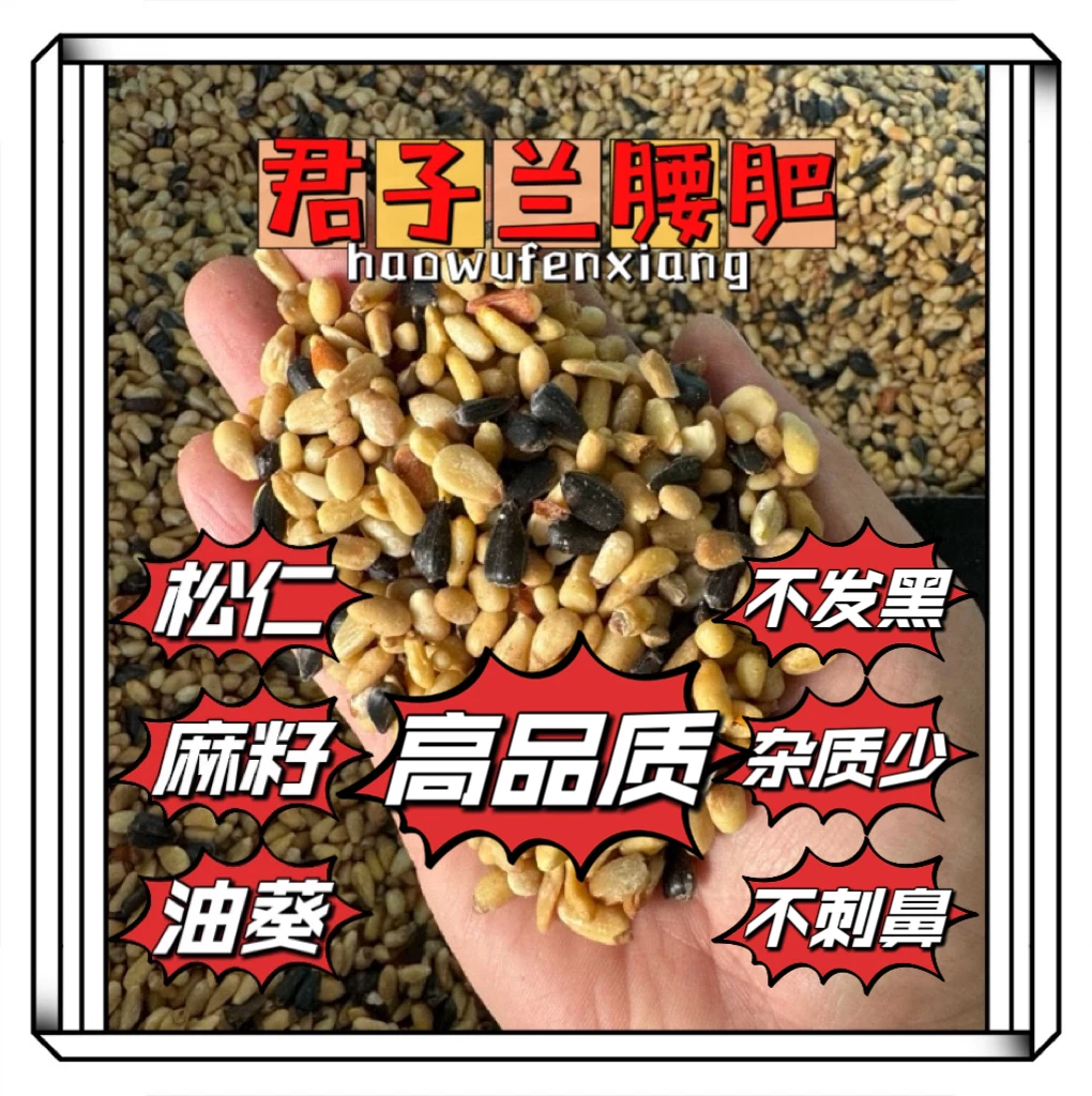 君子兰用俗称腰肥植物增速快植料油料植物都能用专用松仁麻籽油葵