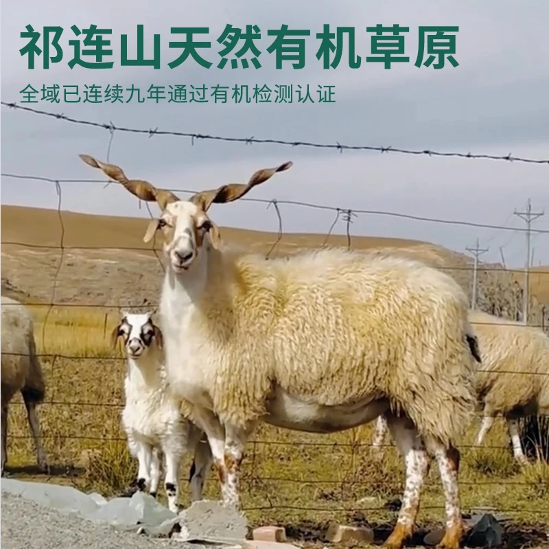 祁连藏羊天然有机草原散养青海地标保护冬虫夏草滋补滋养清真食品