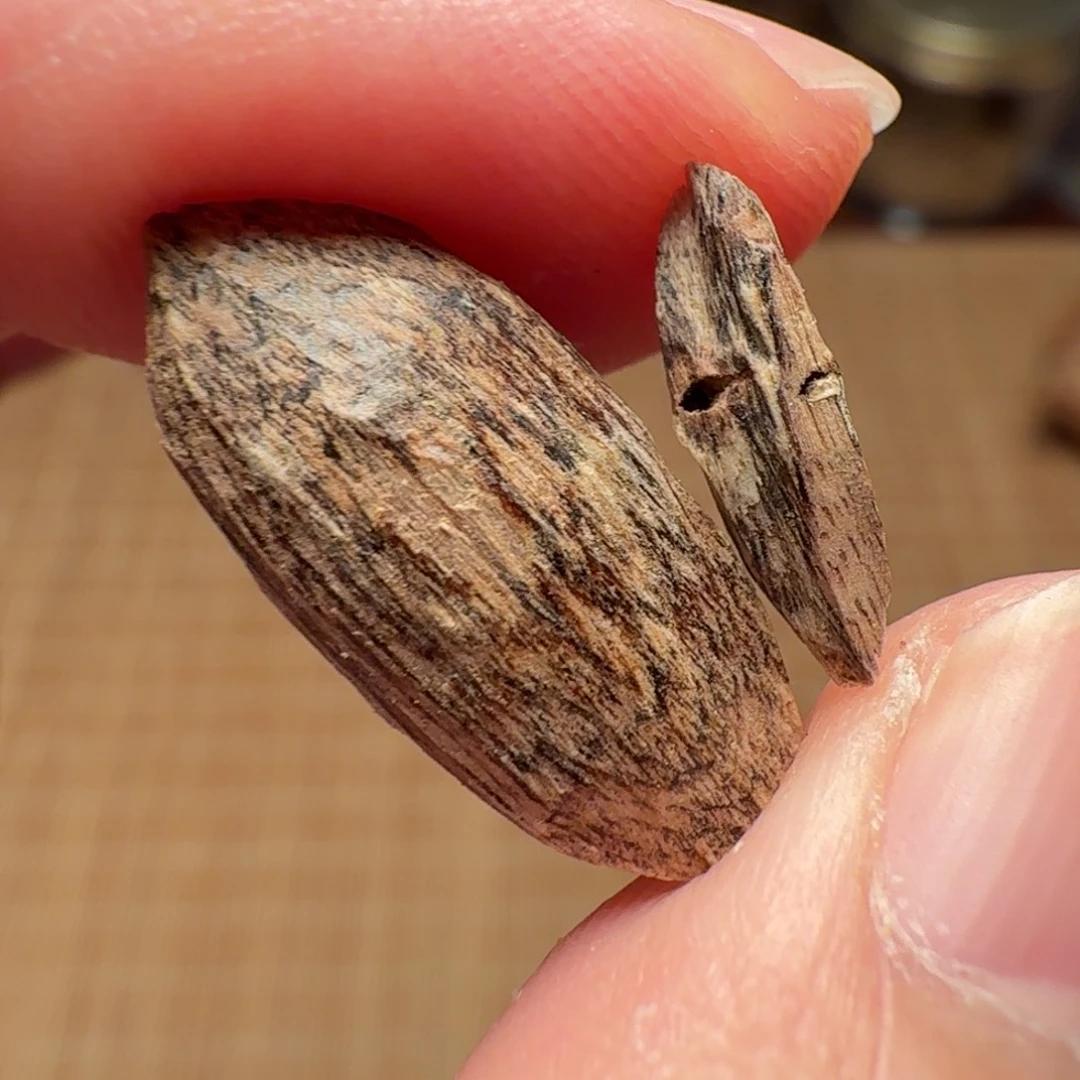 沉香惠东棋韵瓜子