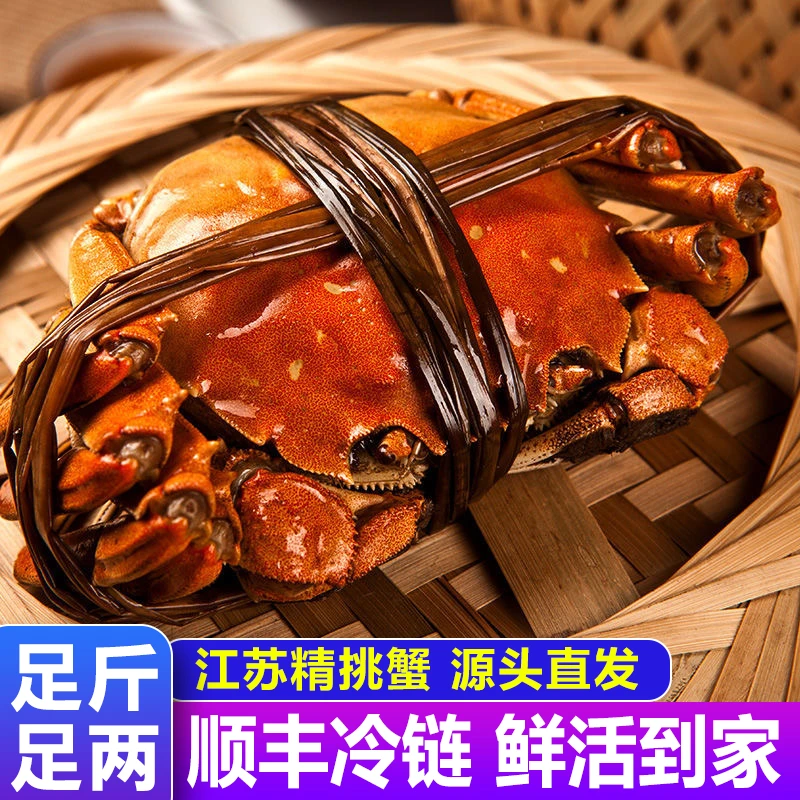 【活蟹】大闸蟹公4.0-3.7两 母3.0-2.7两6-10只 江苏精品螃蟹礼盒XZ