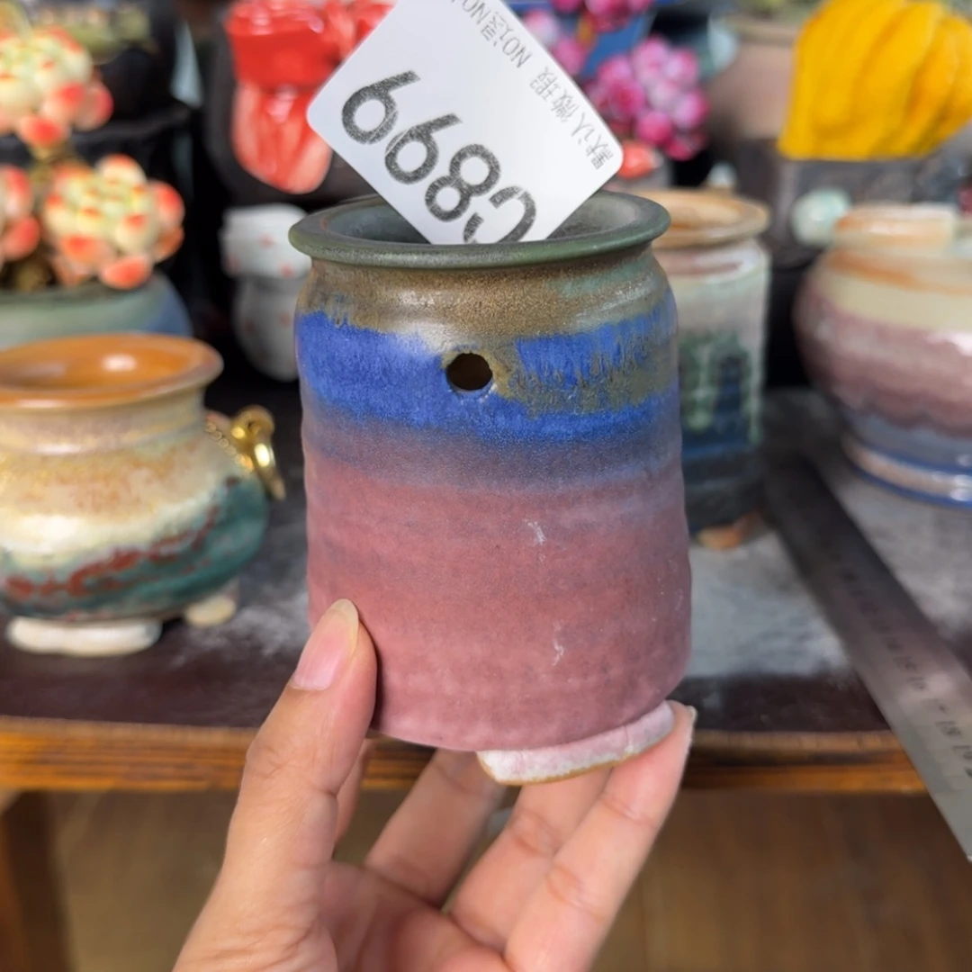重庆小燕子欢迎大家899