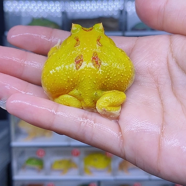 特价秒杀现货特价