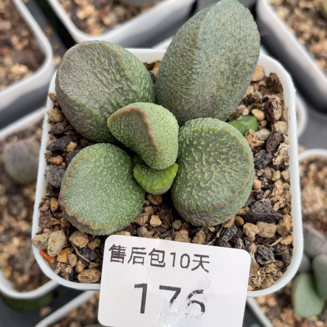 福利。  福利。