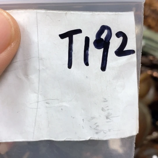 元***人一四九文玩专属链接