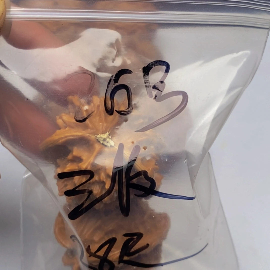 吊坠文玩核桃三棱