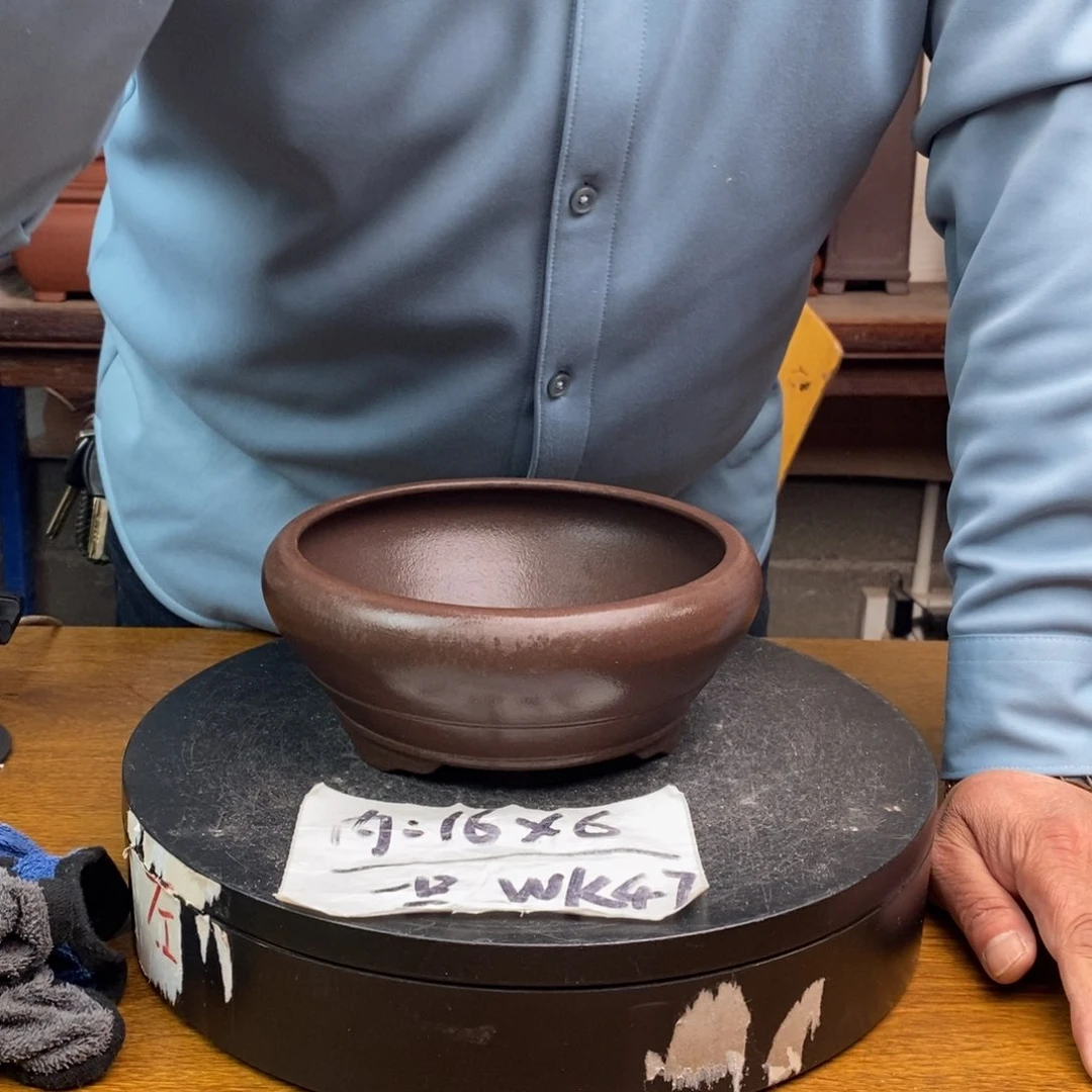 红陶货号一只WK47