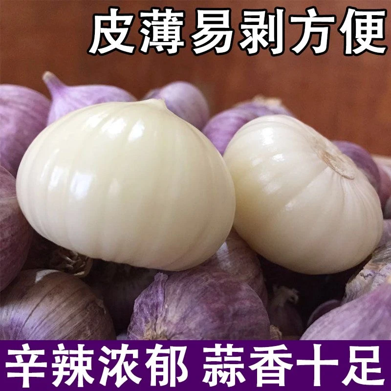【2025新干蒜】高山种植紫皮独头干蒜 辛辣醇香 颗粒饱满