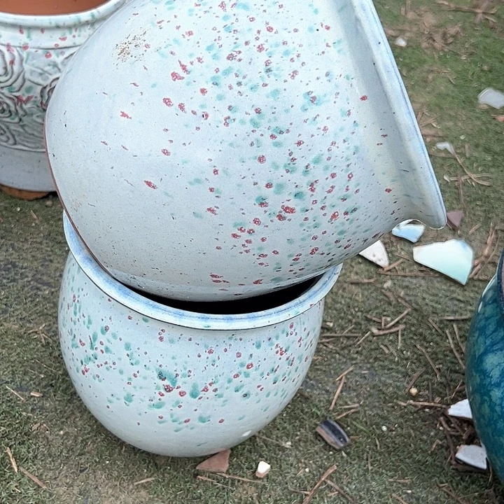 口20高20福利价。。。。。。。。。。