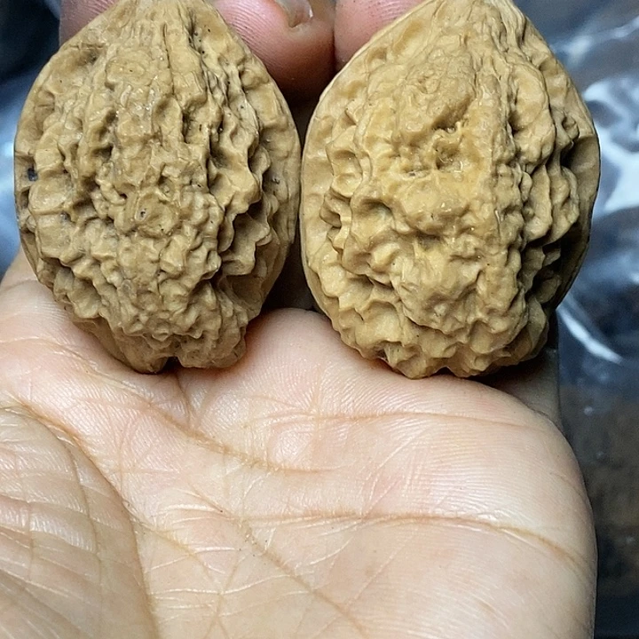 把件文玩核桃云南铁核桃92