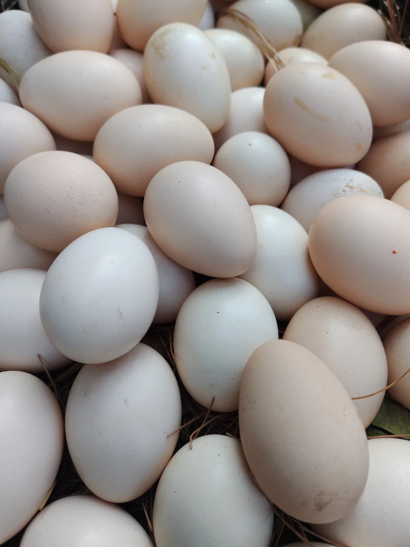 云南土特产…鸡蛋