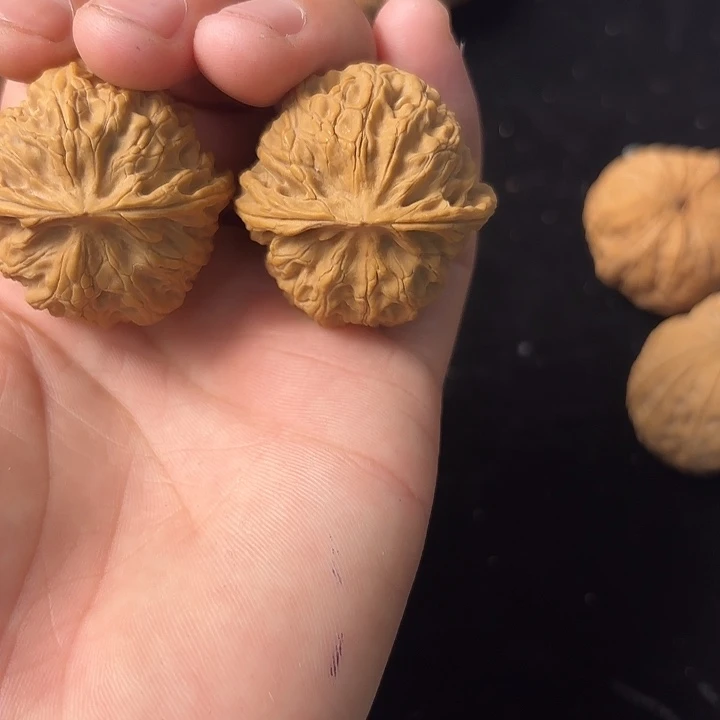 红***六大叶紫檀（黑酸枝木类）