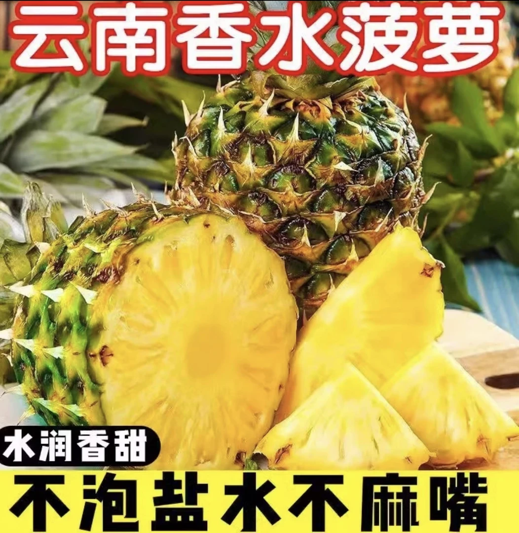 云南黑钻凤梨（香水菠萝）树上自熟香甜可口