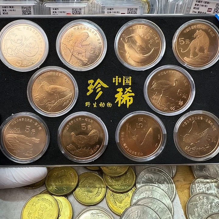 其他普通金属珍惜动物1套