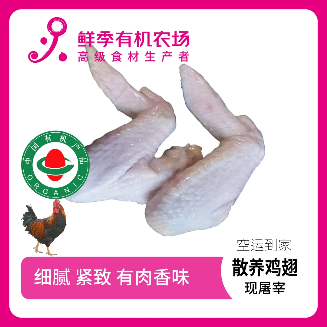 有机散养鸡全翅500克 无抗 现宰 顺丰  包冰率不含冰