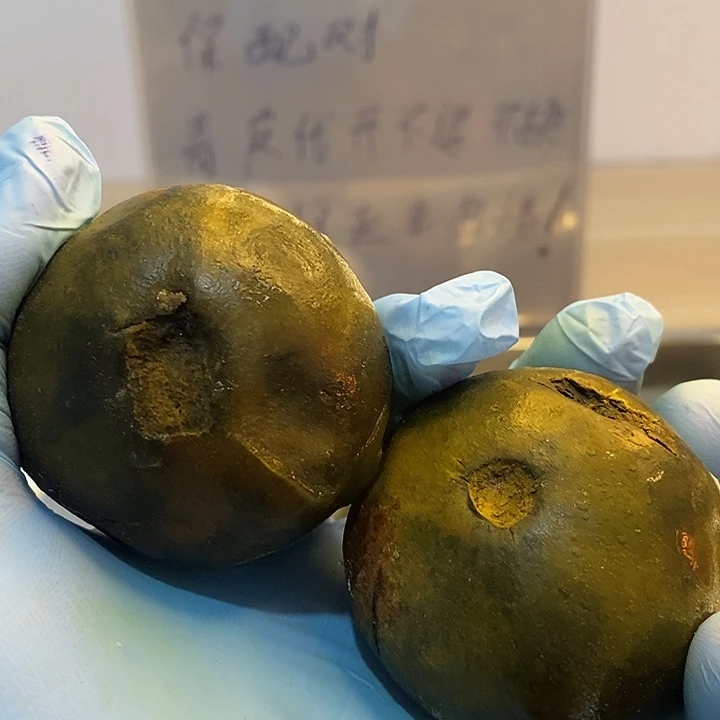 吊坠文玩核桃蚂蚁王全品666