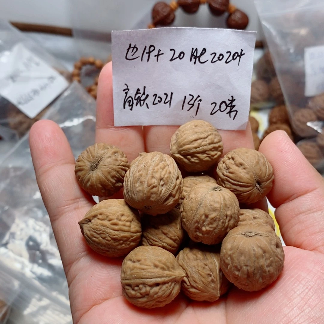 核桃手串/手链小圆球单圈