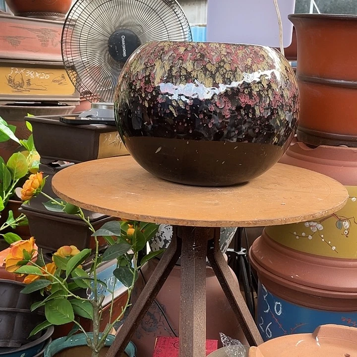 刘点菜球球花盆紫砂花盆紫砂