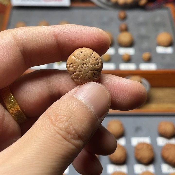 凤眼菩提吊坠A06五星