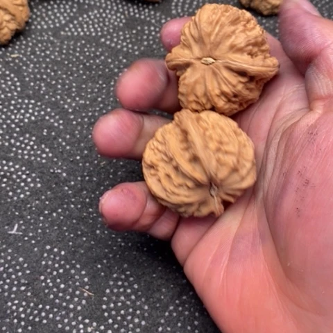 文玩核桃把件三角白20